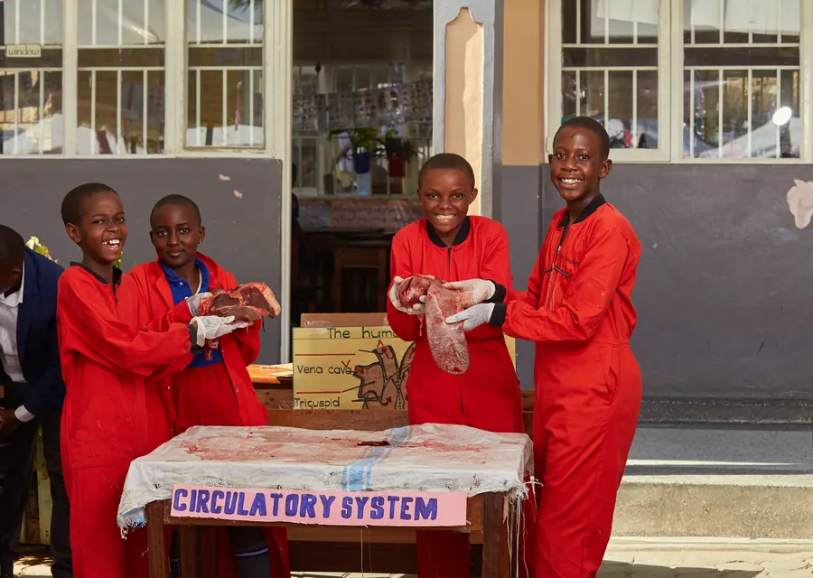 Pupils presenting a circulatory system model